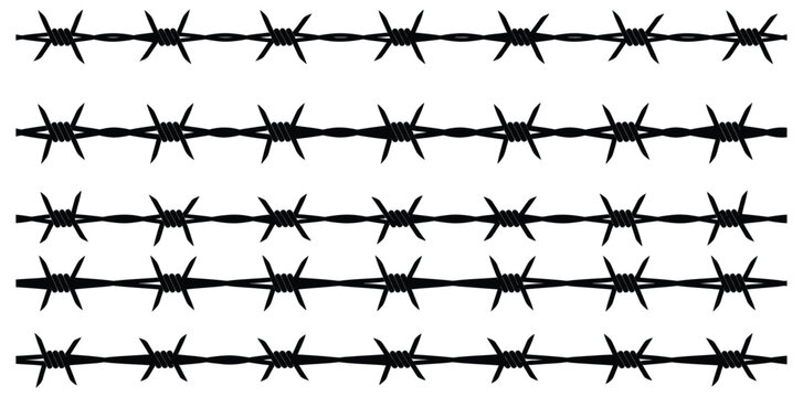 Multiple rows of barbed wire create a stark and dangerous barrier isolated on white background sharp spikes and dark lines convey danger