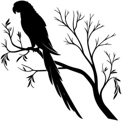 Parrot Perched on Tree Branch Silhouette – Vector Illustration