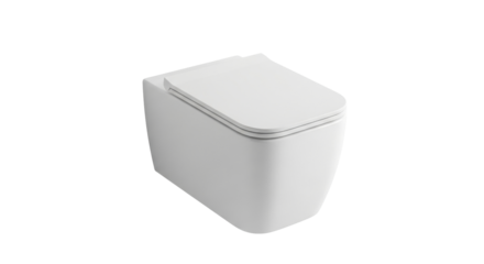 Isolated close up shot of wall hung toilet with closed lid; modern design for minimalist bathroom