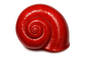 Red snail shell showing a perfect spiral shape and vibrant color, creating a striking visual, transparent background