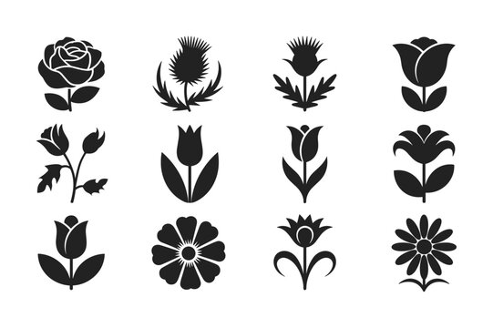 A Collection of Elegant Black Floral Silhouette Icons Depicting Various Stylized Flowers and Plants.