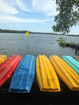 A group of colorful Kayak boats seen stationed at a adventure sport center in the backwaters of Kerala, India.