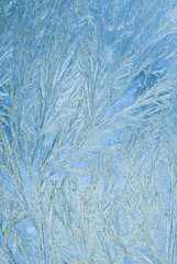 Frost-like abstract texture in cool blue tones, resembling icy branches on glass. Vertical winter background with subtle gradient and detailed crystalline pattern