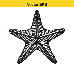 Fototapeta premium Black and white engraving style starfish illustration isolated on white background