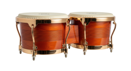 Isolated pair of Bongos percussion musical instrument, Latin drums, wooden body & animal skin