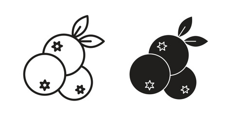 Blueberries icons Concepts. black solid and line stroke designs for web and app use