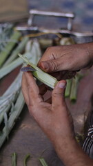 Traditional Hand-Cleaning Method for Cardoon &ndash; Cardoon Culinary Guide: How to Cook With Cardoons, Celery-Like Stalks, Cynara cardunculus Preparation