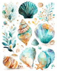Colorful seashells and marine elements illustration.