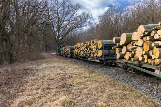 Logging train transporting wood logs through Pordefolde forest