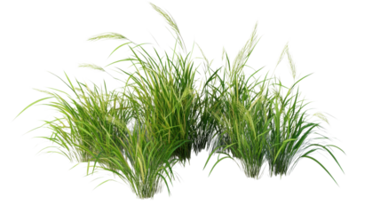 Bright green grass thrives under a clear blue sky, moving softly with the wind in a tranquil outdoor setting.