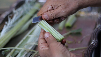 Traditional Hand-Cleaning Method for Cardoon &ndash; Cardoon Culinary Guide: How to Cook With Cardoons, Celery-Like Stalks, Cynara cardunculus Preparation