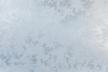 Obraz premium Frosted ice door backgrounds frozen winter.