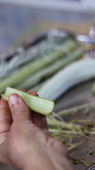 Traditional Hand-Cleaning Method for Cardoon &ndash; Cardoon Culinary Guide: How to Cook With Cardoons, Celery-Like Stalks, Cynara cardunculus Preparation