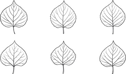 Different views of tree leaves line art set vector