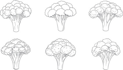 Simple broccoli crown doodle sketch collection design vector