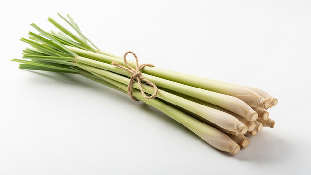 A simple minimalist arrangement of fresh lemongrass stalks tied with twine on a bright white background with soft lighting.