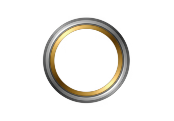 Ornate oval frame with metallic gold and silver accents isolated on transparent background