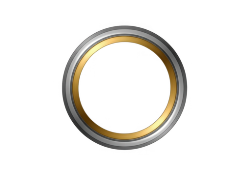 Ornate oval frame with metallic gold and silver accents isolated on transparent background