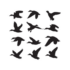 Flying Duck Waterfowl Silhouette Vector Set