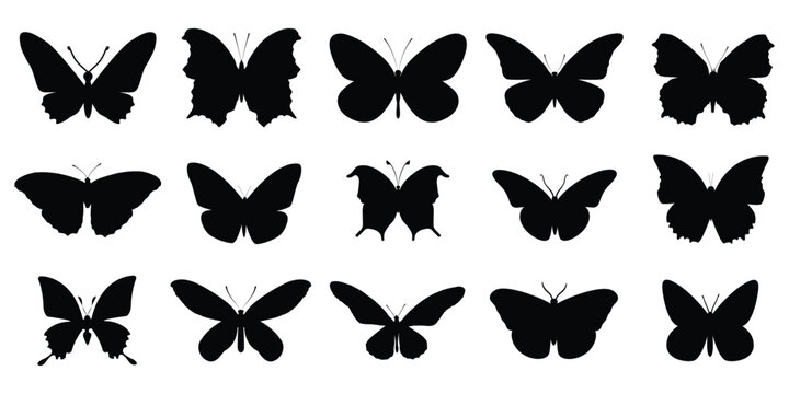 Collection of black butterfly silhouettes in various poses and orientations on white background butterflies.