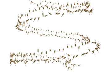 A serpentine trail of ammunition casings on a transparent background