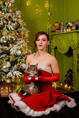 Portrait of a young attractive woman in a red Christmas dress and long gloves posing sitting with a cat in her hands against the background of a Christmas tree and decorations.