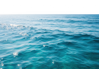 Rippling blue ocean water with sunlight reflections isolated on transparent background
