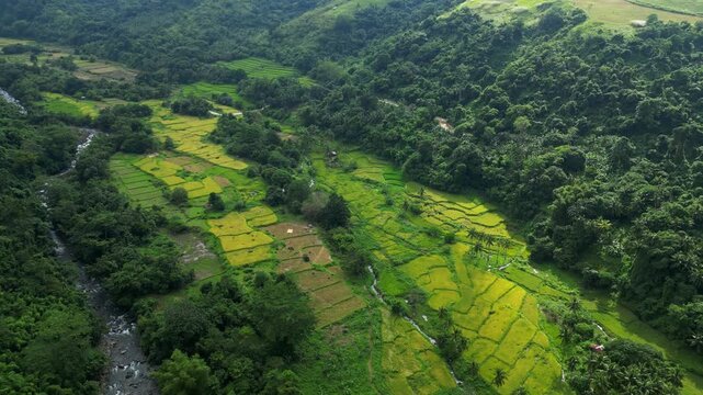 A wider pull out aerial of numerous rice paddies with a small river running beside it, sitting in a wide valley near Quinawan beach in Mariveles Bataan
