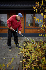 Elderly man trimming garden plants in front of wooden house during autumn afternoon