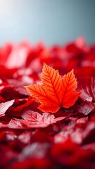 Red maple leaves in morning light &mdash; vertical autumn background, sky gap