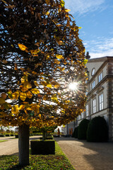 Naklejka premium Sunlight shines through autumn foliage creating warm glow beside elegant palace facade. Trimmed trees and soft shadows form serene garden atmosphere under bright sky