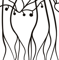 On the screen are roots and stems of plants with berries.