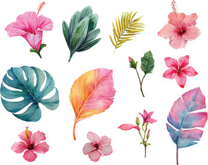 set of pink flower and green leaves