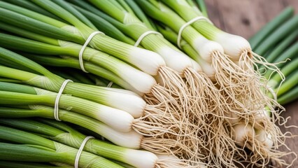 Bundles of freshly harvested vibrant green onions, root detail