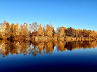 Autumn landskape with golden trees reflected in calm blue lake water under clear sky. 