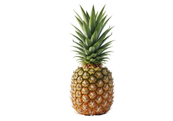 Fototapeta premium Isolated Pineapple Fruit, Healthy Exotic Food, Tropical Summer Holiday Vacation Freshness