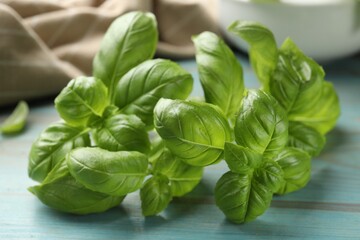 Fresh basil leaves on light blue wooden table, closeup