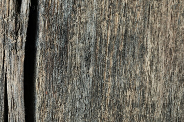 Obraz premium Macro texture of old dry wood with natural grain and cracks. Ideal background for design, woodworking, interior, craft, and creative projects