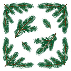 Obraz premium Pine Tree Branches Vector Graphic Set Dark Green Needles