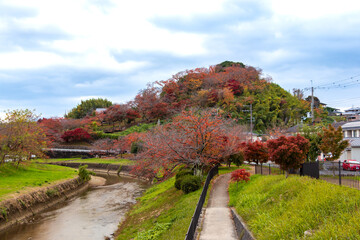 秋の竜田川と三室山