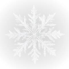 Ice snowflake frozen frost winter cold frame border white transparent decoration pattern.

