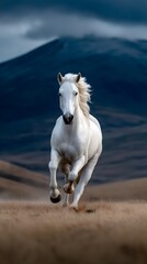 Obraz premium Majestic White Horse Galloping in Mountainous Landscape