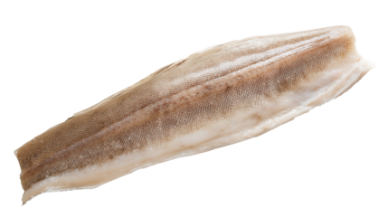 Fresh conger eel fillet on a pure white background with a transparent background. Generative AI