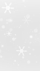 Winter snowflake frost ice frozen cold frame border white transparent decoration pattern.
