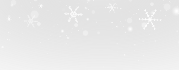 Snowflake frozen ice frost winter cold frame border white transparent decoration pattern.
