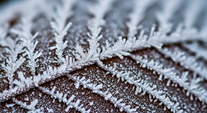 Minimalist Extreme Close-up of Intricate Ice Crystals on a Frozen Leaf