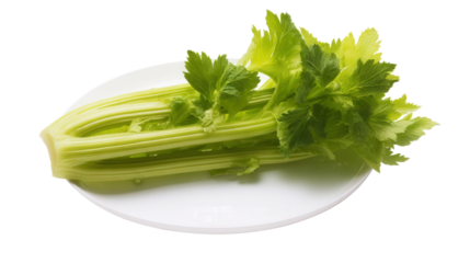 Fresh celery stalk on a clean white plate isolated with transparent background. Generative AI