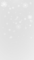 Frost snowflake ice frozen winter cold frame border white transparent decoration pattern.
