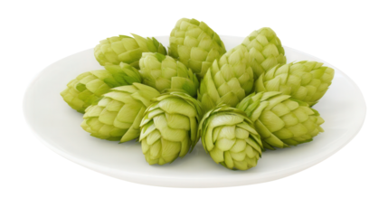 Fresh hop cones isolated on a clean white plate with a transparent background. Generative AI