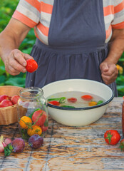 Senior woman preserving vegetables in jars. Selective focus.